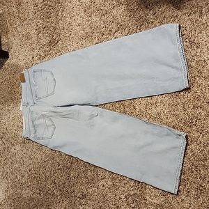 American Eagle Wide Leg Skater Jeans